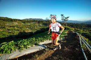 BIB: 
                            <button type="button" onclick="openModal(19109698)" class="btn btn-primary btn-sm float-right btn-popup" data-toggle="modal" data-target=".modal-high-quality">
                        <i class="fas fa-shopping-cart"></i> Add to Cart
                    </button>
                                            <button type="button" onclick="isThisMe(19109698, true)" class="btn btn-success btn-sm float-right btn-popup btn-isme hidden" data-toggle="tooltip" data-placement="bottom" title="นี่คือรูปของคุณใช่ไหม คลิกที่นี่เพื่อเอาเข้าอัลบั้ม">
                        <i class="fas fa-plus"></i> Add to album
                    </button>
                    <button type="button" onclick="isThisMe(19109698, false)" class="btn btn-warning btn-sm float-right btn-popup btn-isnotme hidden">
                        <i class="fas fa-ban"></i> Remove from album
                    </button>